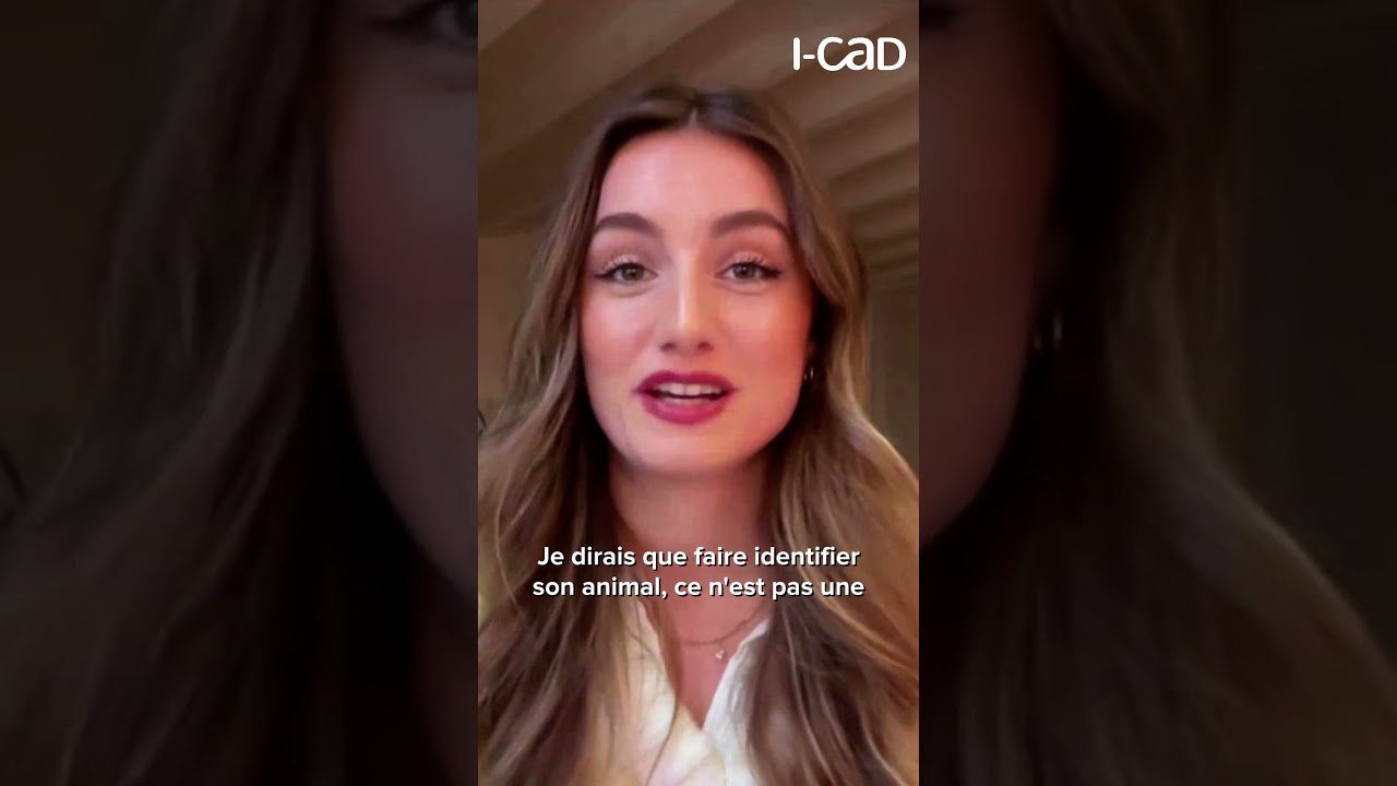 Faire identifier votre animal : c'est une mesure de sécurité pour lui et pour vous