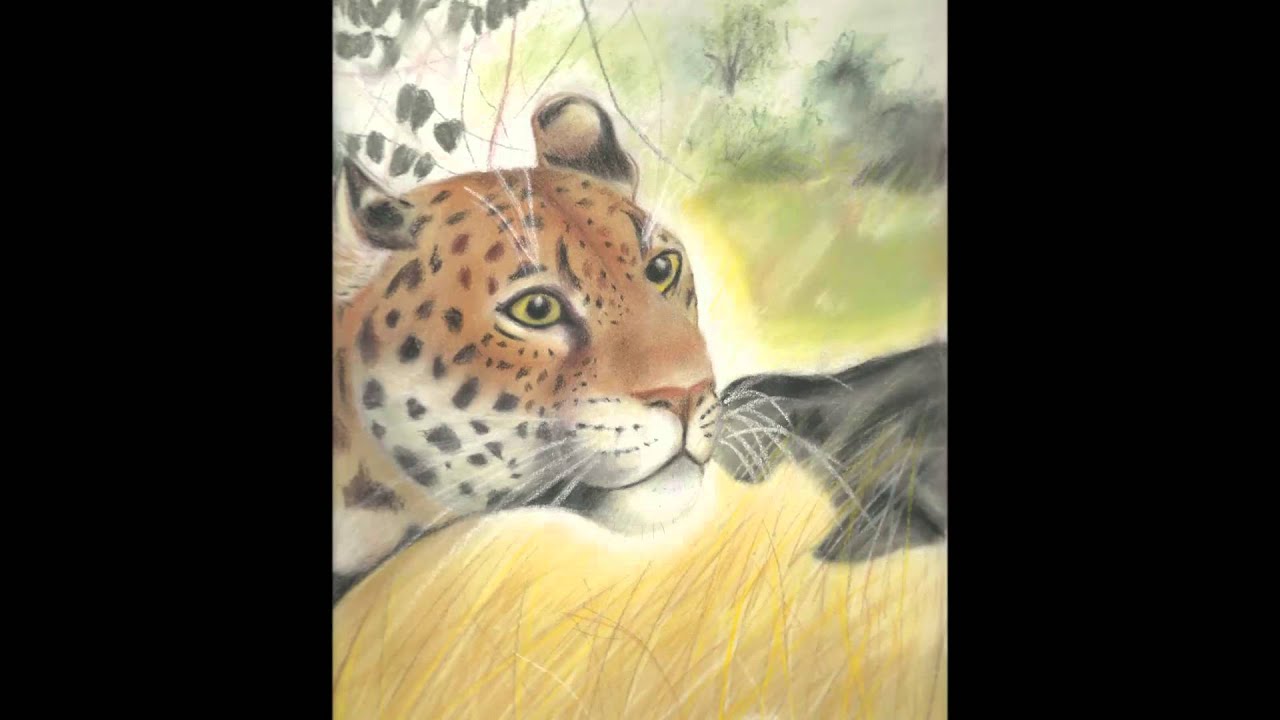 Concours de dessins 2015-2016