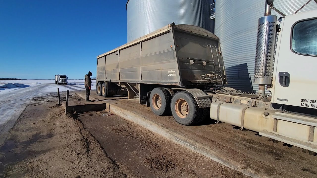 Hauling Barley To The Feed Mill!!!