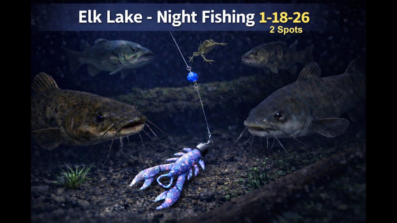 Russian Fishing 4, Elk Lake - Night Fishing 1-18-26