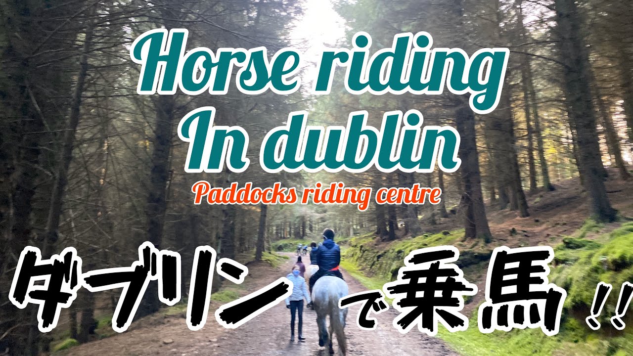 ダブリンで乗馬！Paddocks Riding Centre