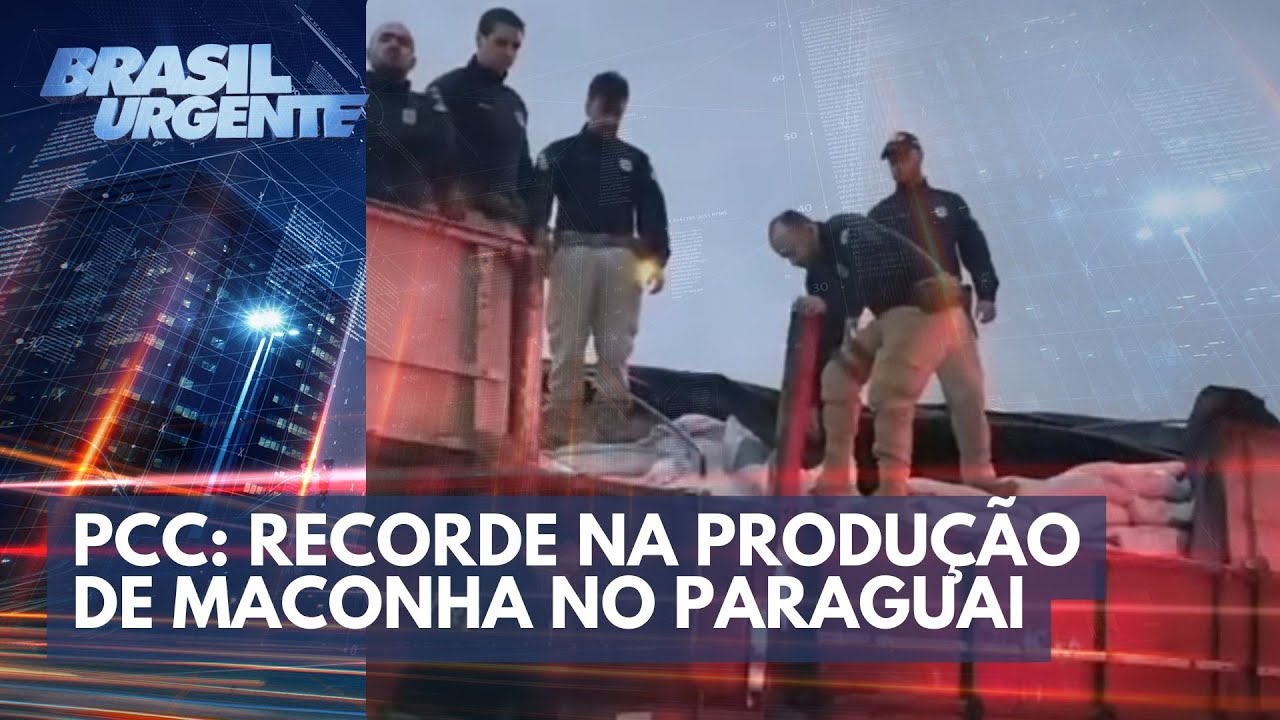 Super safra de maconha do PCC | Brasil Urgente