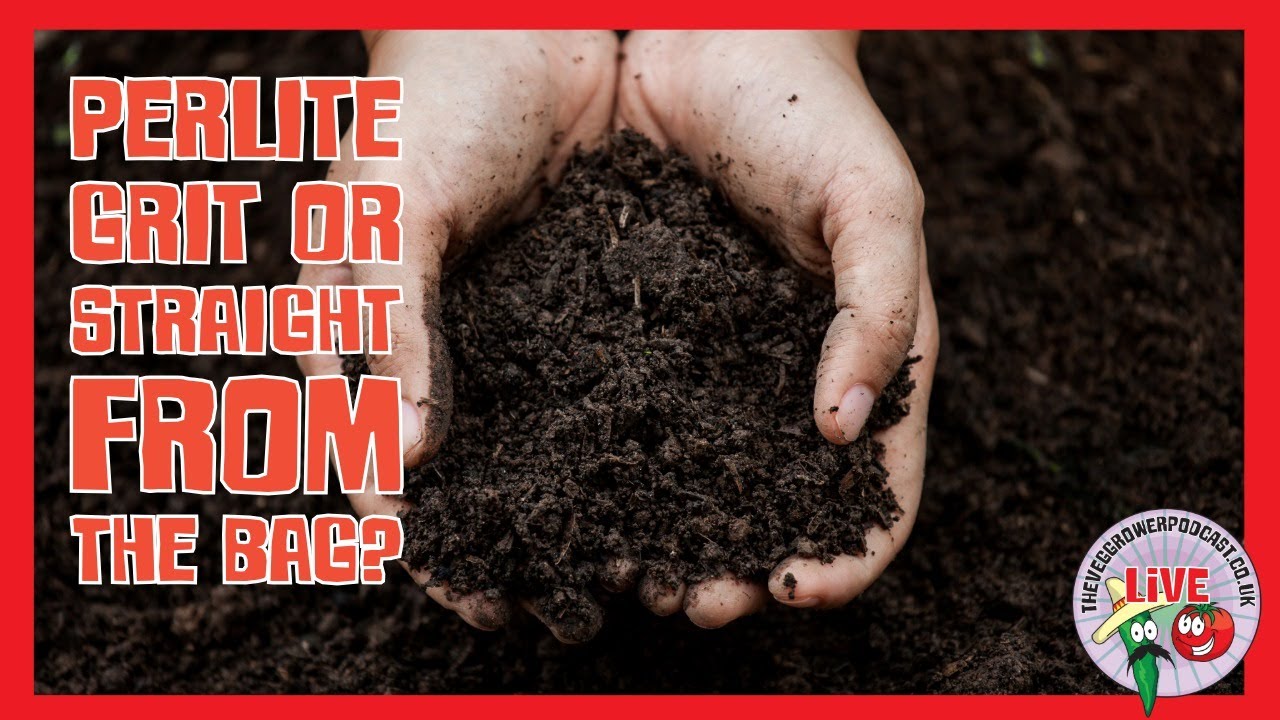 🔴Live: What Do You Add to Your Compost Mix? 🌱