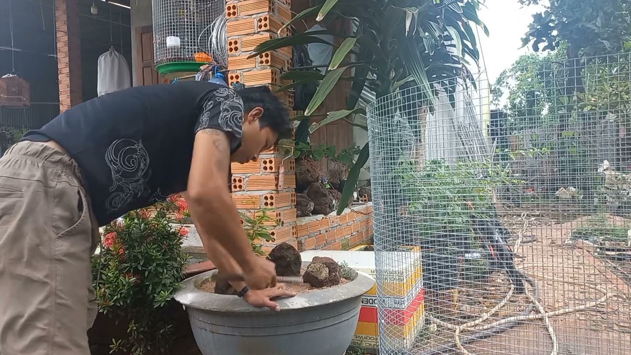 Cách làm avi mini nhanh gọn nhất