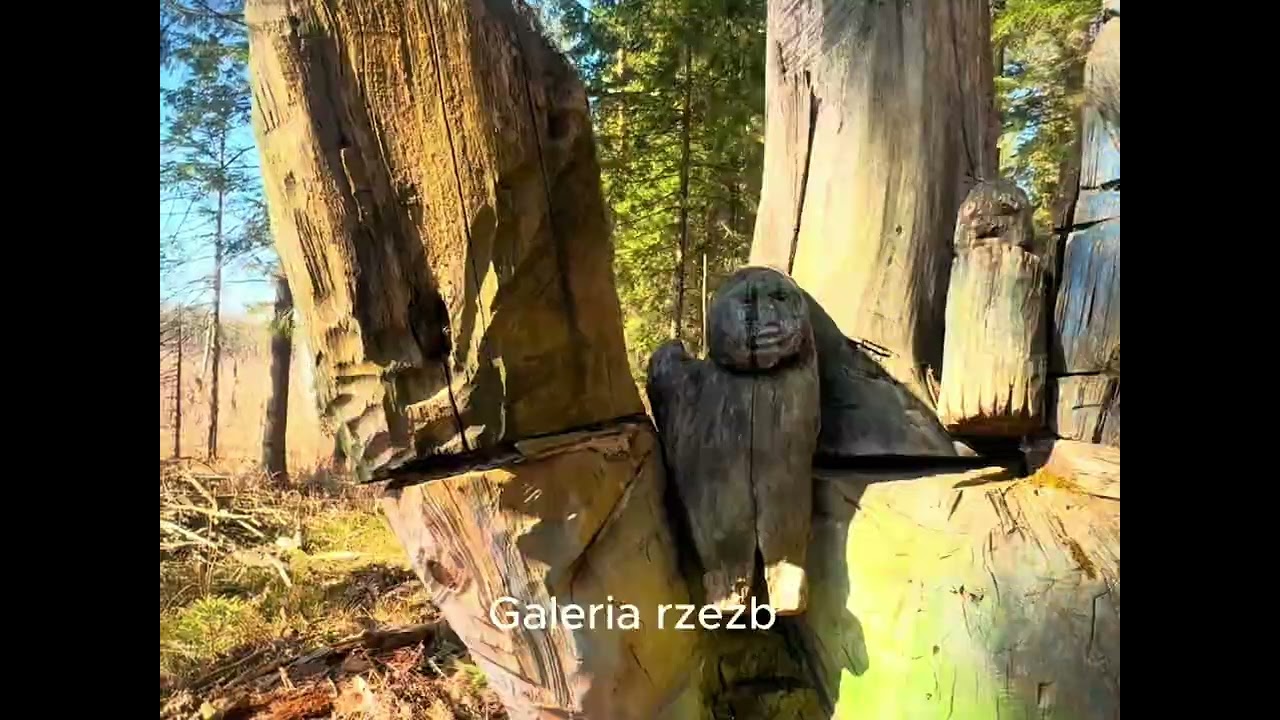 Polecamy na weekend: Wyżary i Radunin — odpoczynek w sercu podlaskiej przyrody 🚗🌿