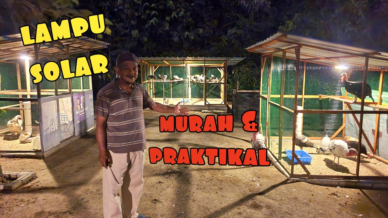 ✅️ LAMPU SOLAR MURAH DAN PRAKTIKAL UNTUK KEBUN