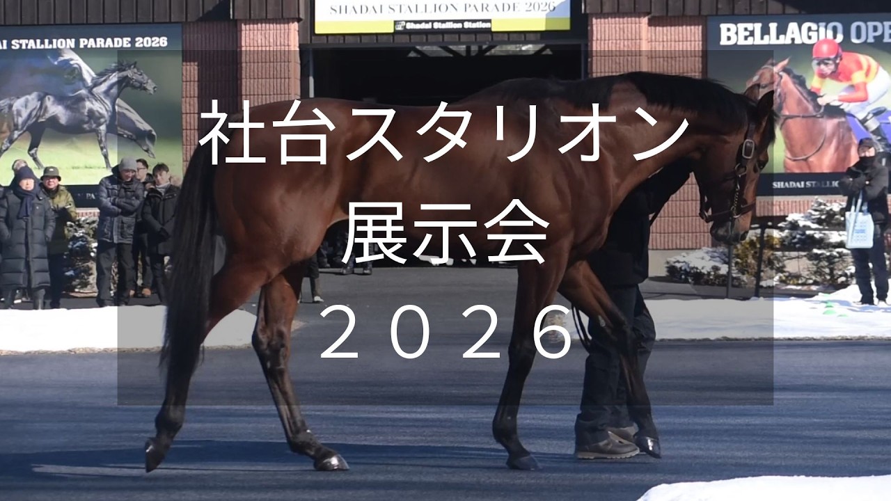 【社台スタリオン展示会2026】大阪杯連覇ベラジオオペラなど29頭が登場！