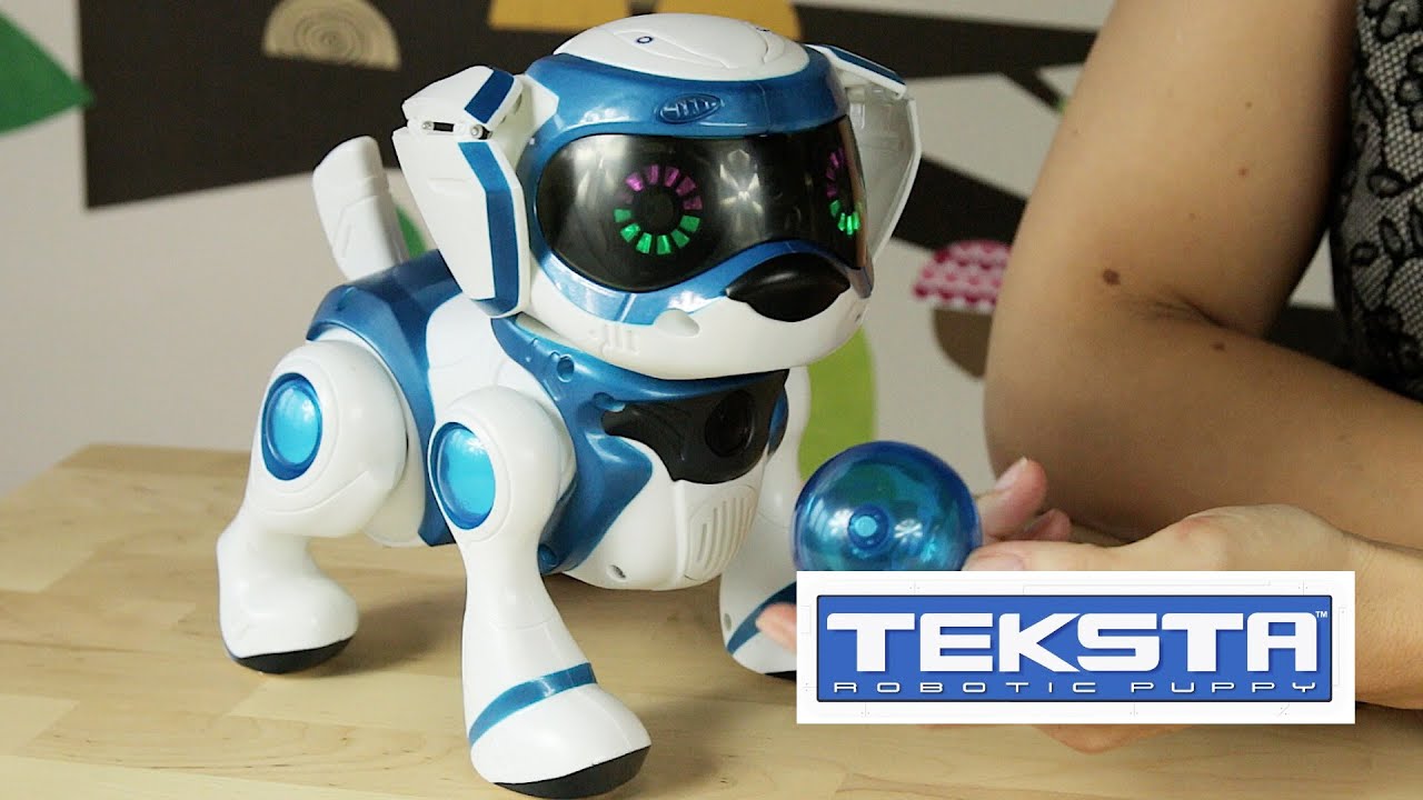 Teksta Robotic Puppy / Teksta Piesek Interaktywny