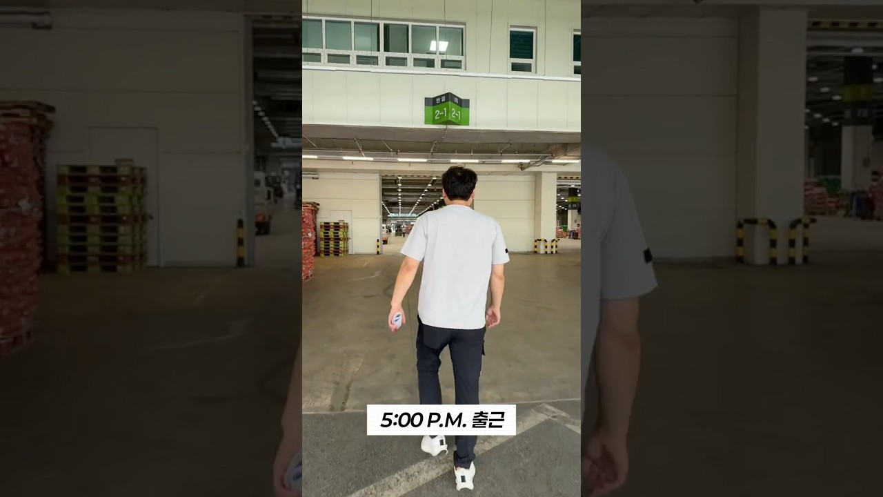 국내 최초 최대 공영도매시장인 가락시장 경매사의 하루☀️🌙