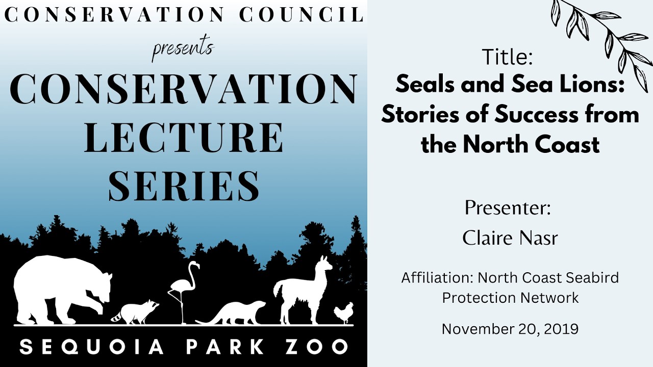 Seals and Sea Lions: Stories of Success from the North Coast – Nasr – 11/20/19 SPZ