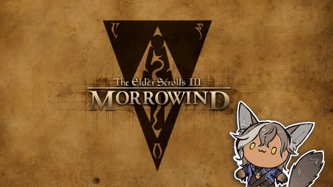 [Morrowind #14] Морнхолд. Город света. Город магии.