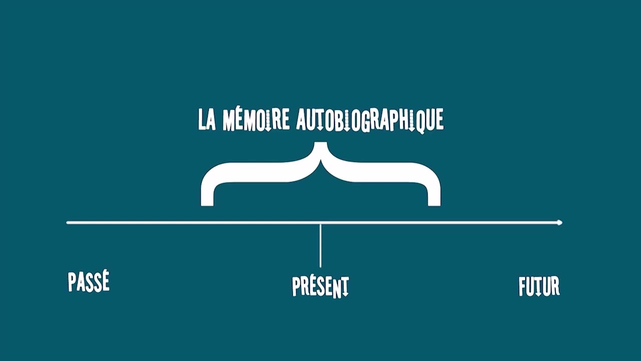 Les Mystères de la Mémoire Autobiographique : Composantes et Fonctionnement