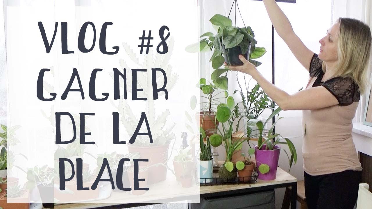 Vlog #8 | Je fais de la place pour ma jungle urbaine 🌿