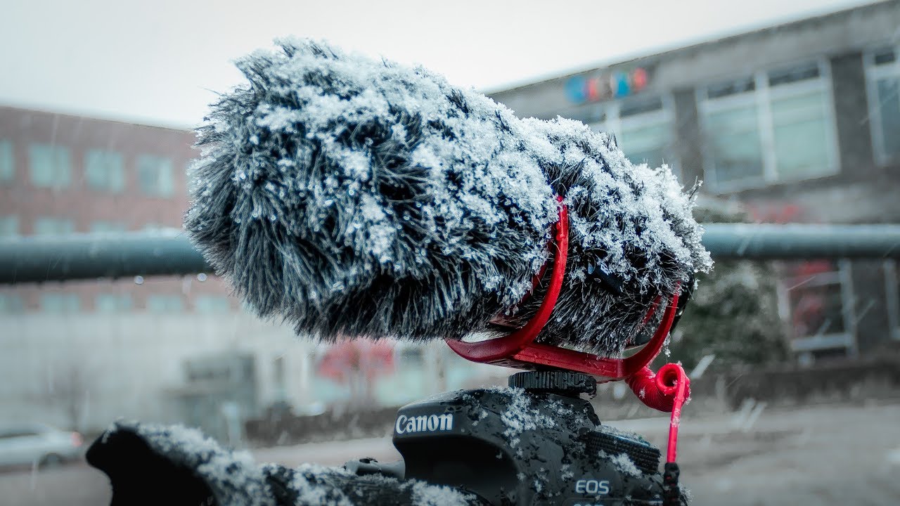 Watch This BEFORE Buying A Rode VideoMic Go!