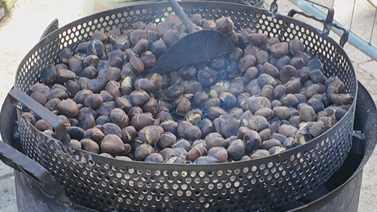 SERRA SAN BRUNO GRANDE SUCCESSO PER GIORNATA DELLA CASTAGNA E DEL VINO 2° EDIZIONE