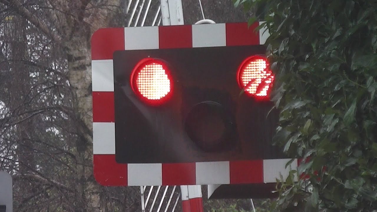 Level Crossing at Sydney Parade - 8300 and 8510 Class Dart Trains