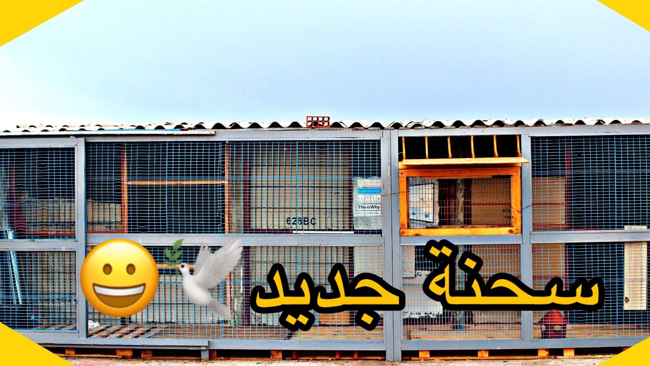 بناء سجنة جديد الحمام الزاجل لهذا الموسم إن شاء الله #سباق 2020