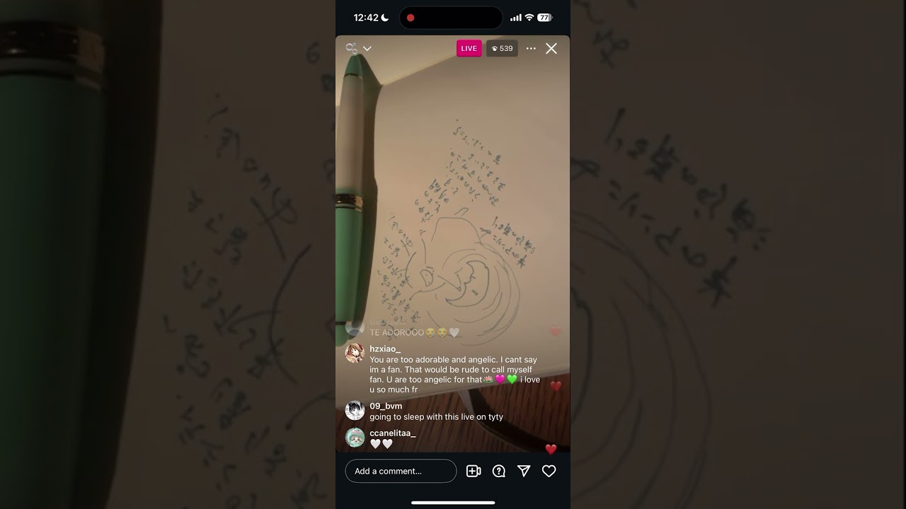 Ichiko Aoba Instagram Live 26/01/25