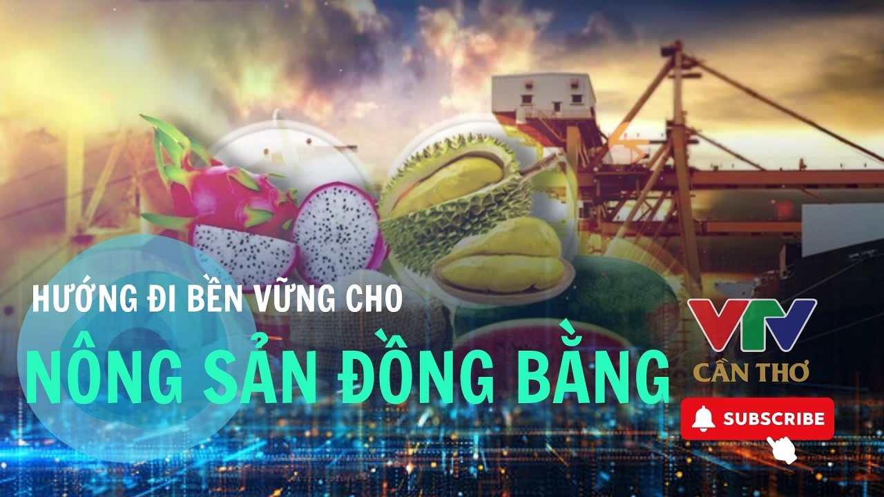 Cam rớt giá, dừa lao dốc: Nông dân Đồng bằng sông Cửu Long chật vật tìm lối ra | VTV CẦN THƠ