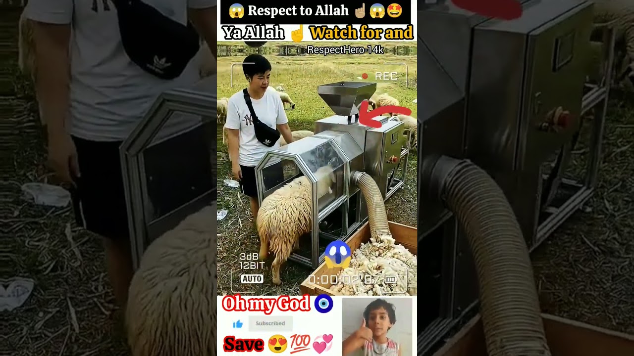 mashallah 🤲😇 respect 😍#allah​ #status​ #short​ #shorts​