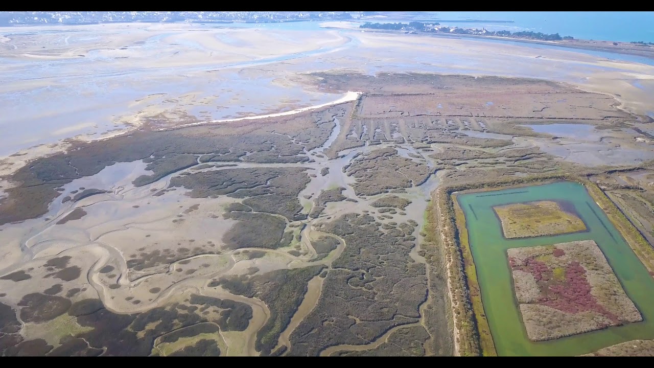 Marais Salants  - Guérande (4K Drone)