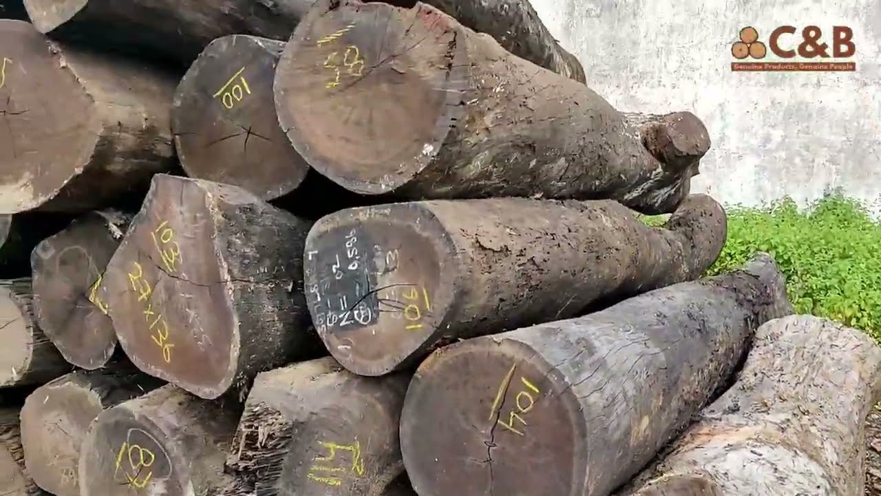 NEW SHIRISH LOGS