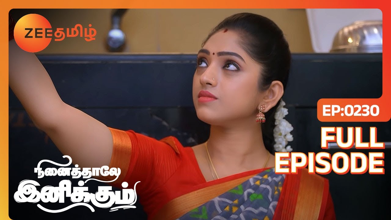 என்ன Bommi Kitchenல Romance ஆ | Ninaithale Inikkum | Full Ep 230 | Zee Tamil | 17 May 22