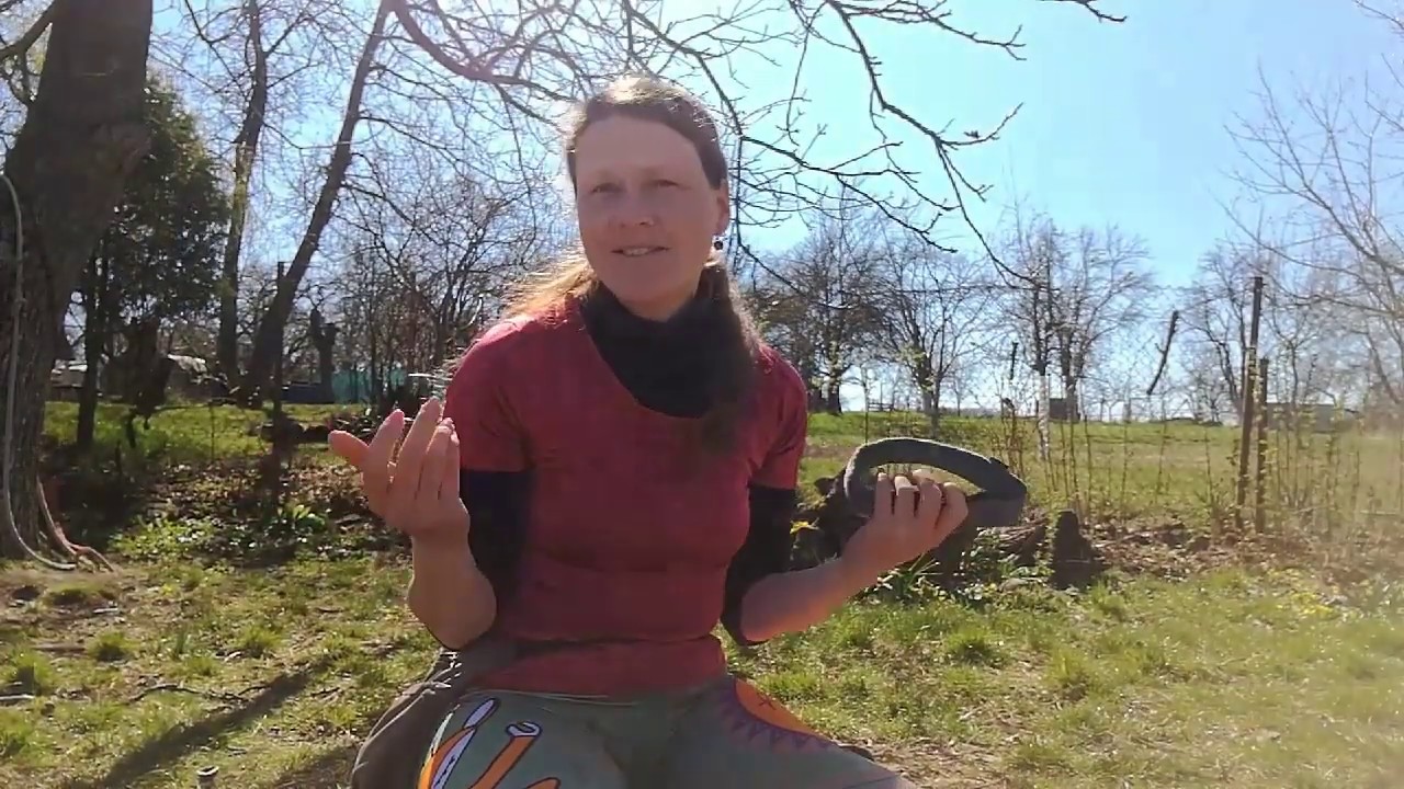 Tři zásady pro pohodovou chůzi na vodítku