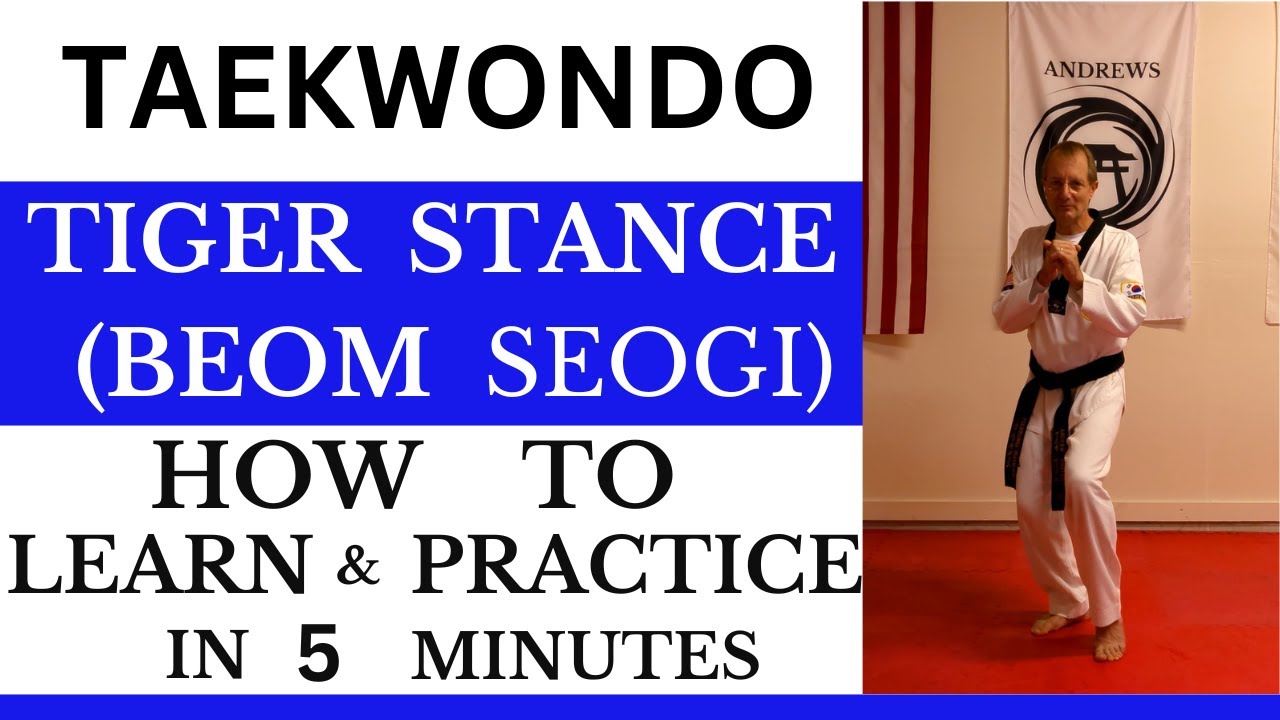 How to do Tiger Stance in 5 Minutes #taekwondo #taekwondotechniques #taekwondostances #tkd