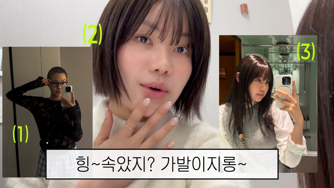 가발에 300만원 쓴 여성이 추천하는 : 공감모