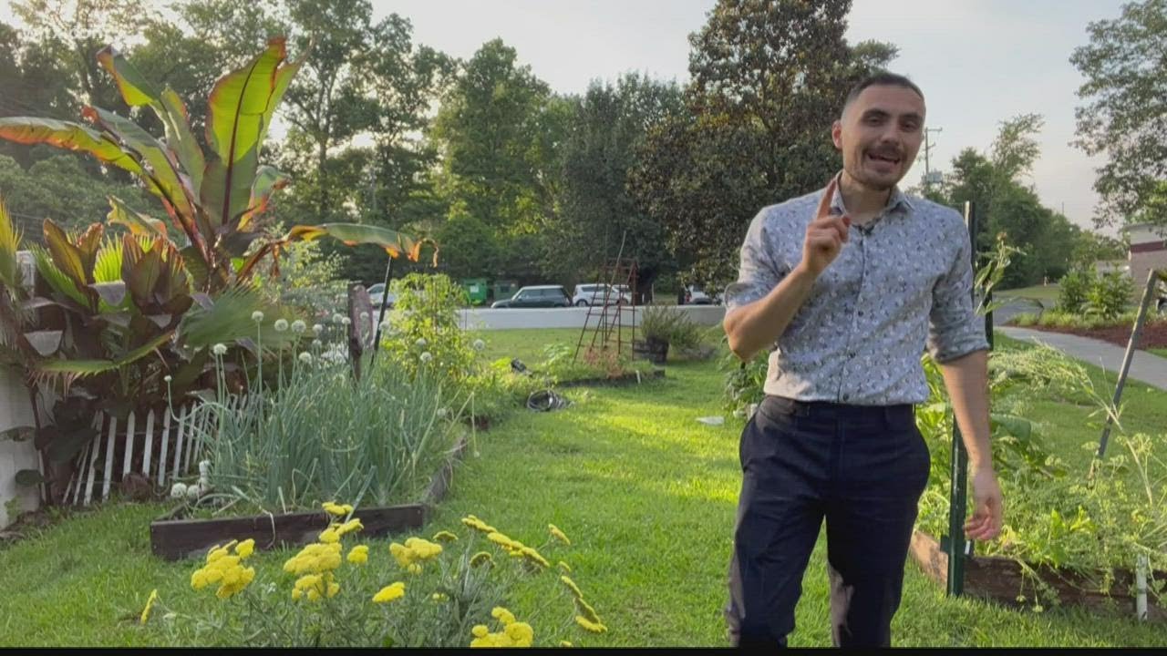 Alex's favorite summer plants for South Carolina gardens