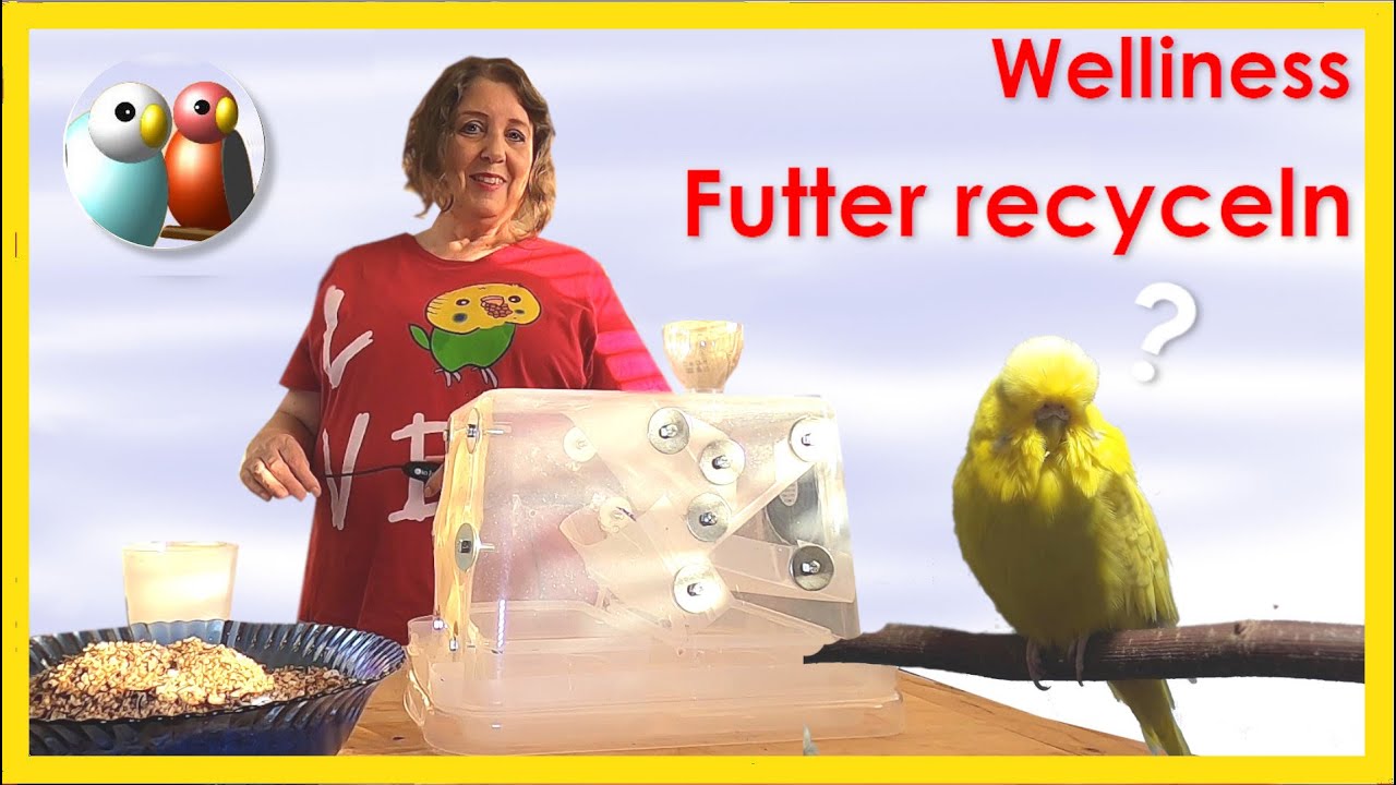 Diy, Futter für Wellensittiche recyceln? Einer Maschine die Körner von Spelzen trennt, Bauanleitung