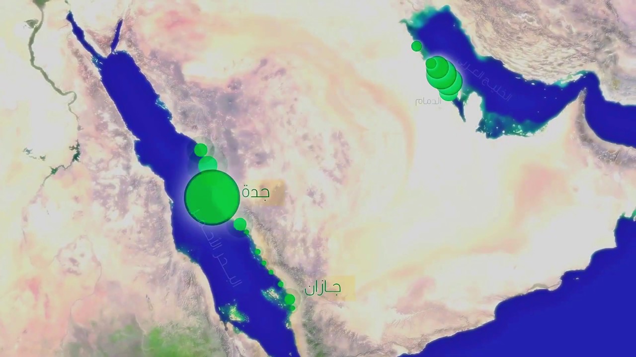 لن تصدق ، ان هذا واحد من اهم اسباب غلاء اسعار الاسماك ... واقع محزن جدا 😟