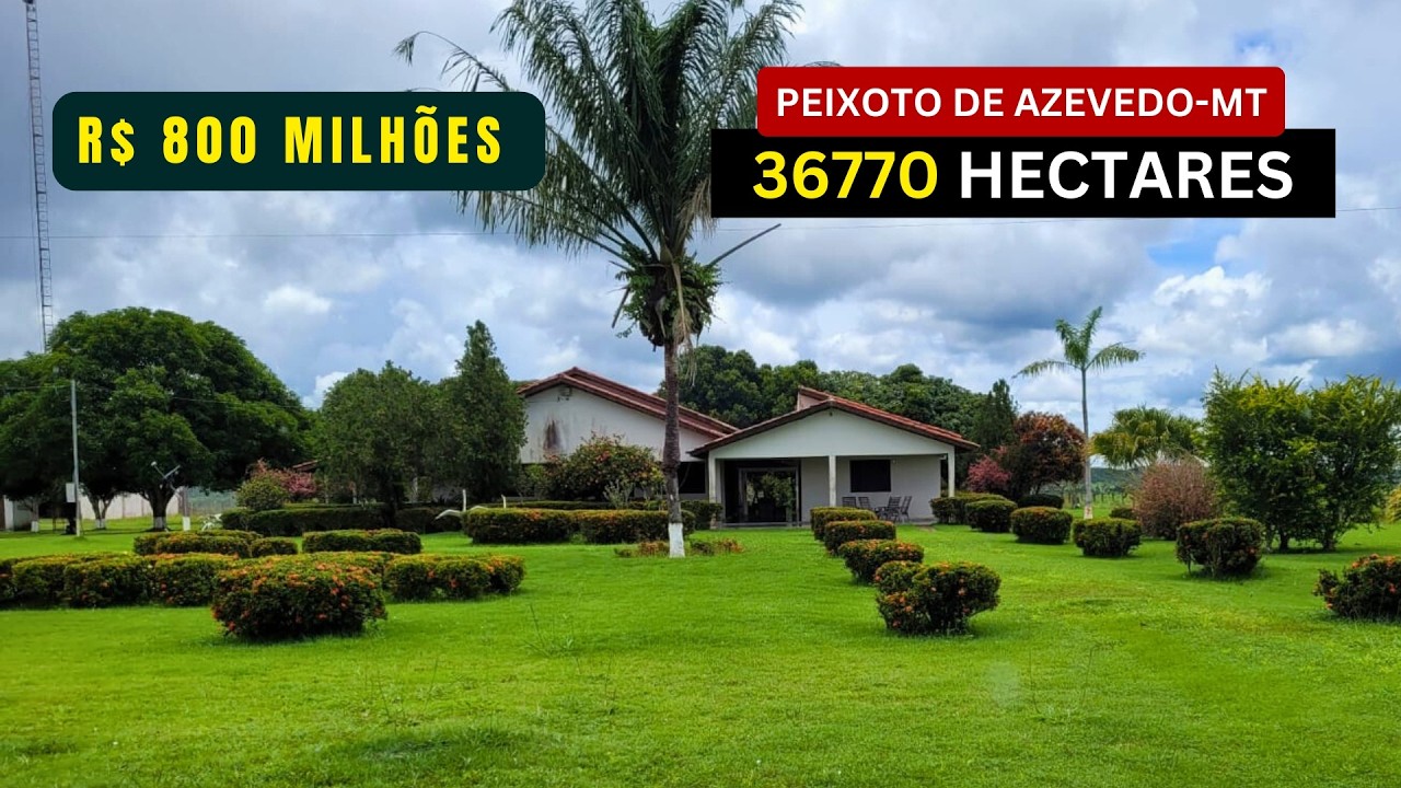 Fazenda com 36770 Hectares à Venda no MT / Ouro, Produção e Escala Patrimonial. Dupla aptidão