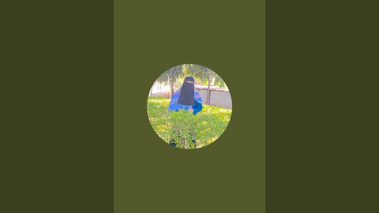 asllamo allekum