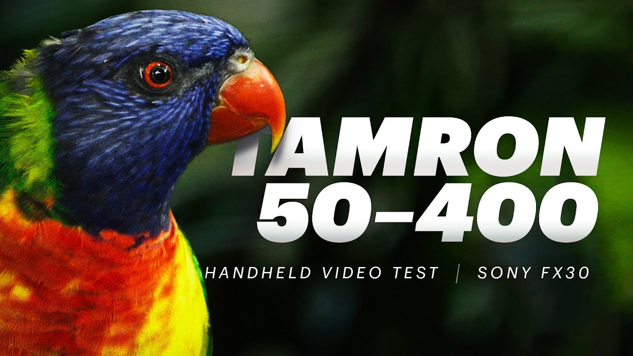 Tamron 50-400mm + Sony FX30 | Тестирование видеосъёмки с рук