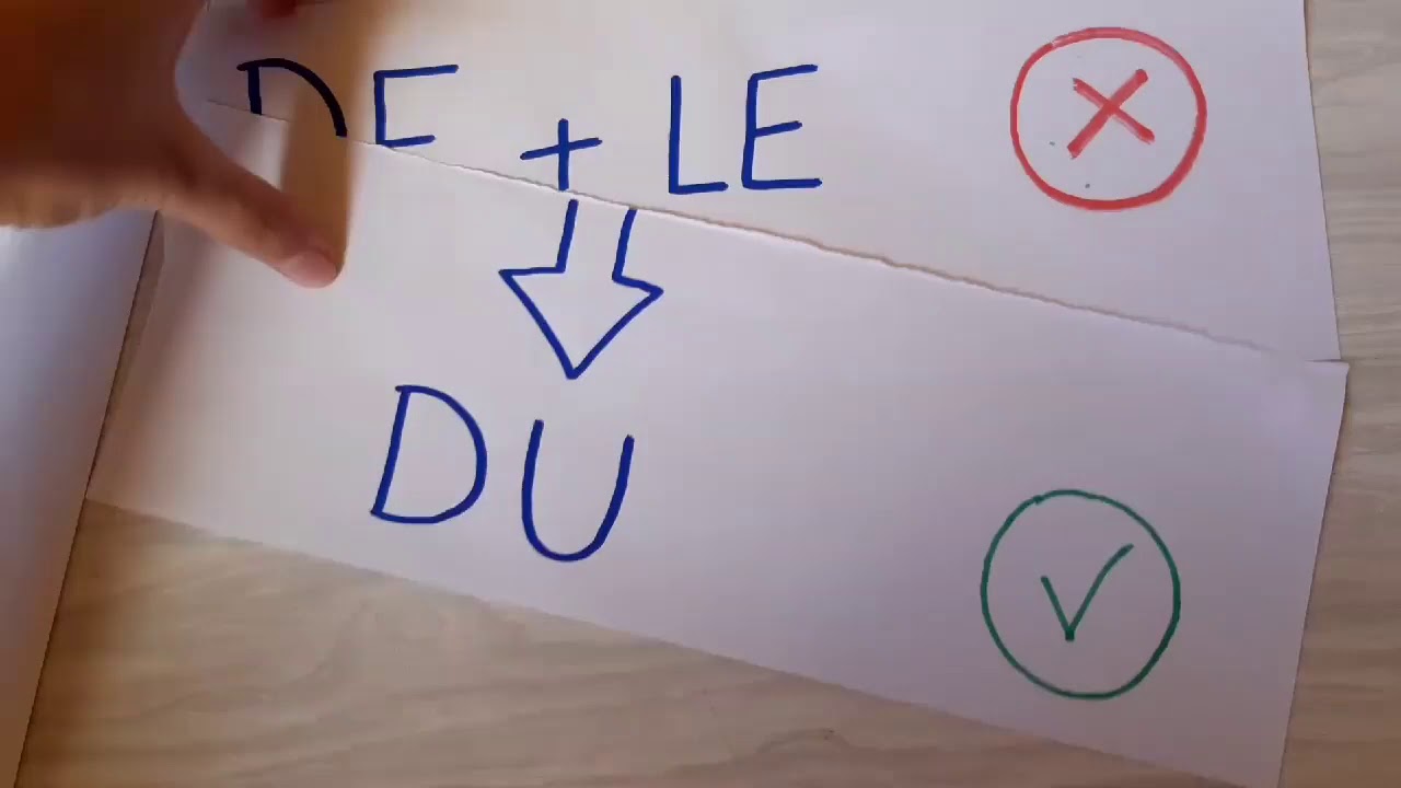A2 📖 DU / DE LA / DES (1)