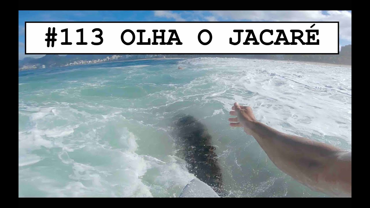 #113 OLHA O JACARÉ