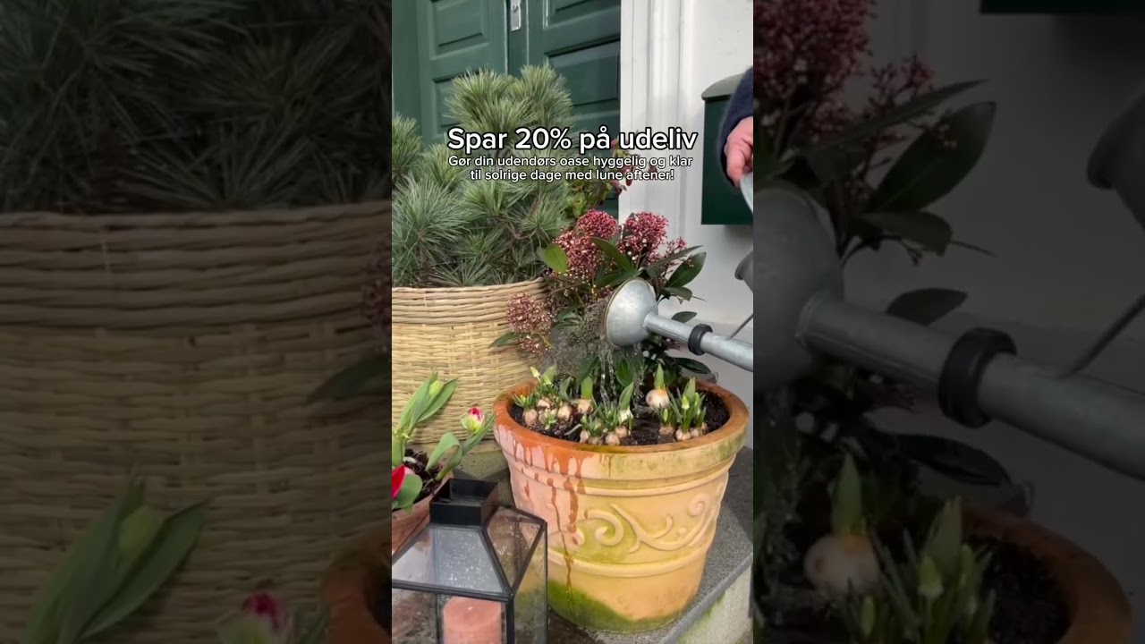 For&aring;r i luften - spar 20% 🌿☀️