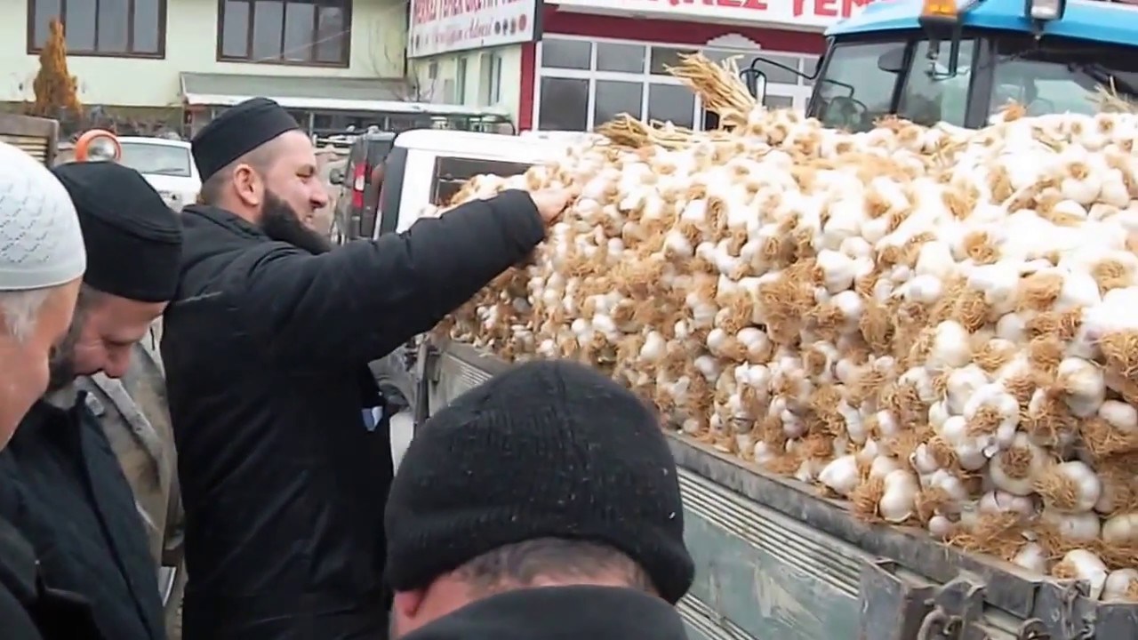 Sarımsak pazarlığı Taşköprü sarımsak pazarı