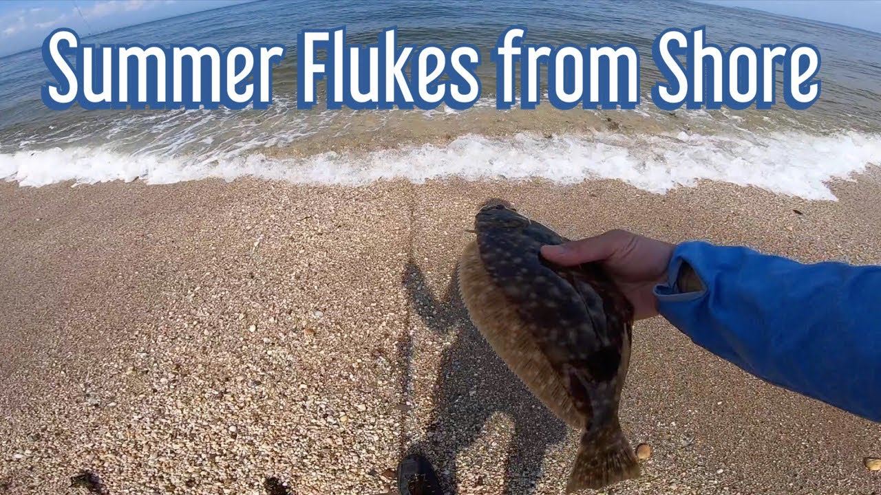 Summer Flukes (Flounder) from Shore Long Island NY