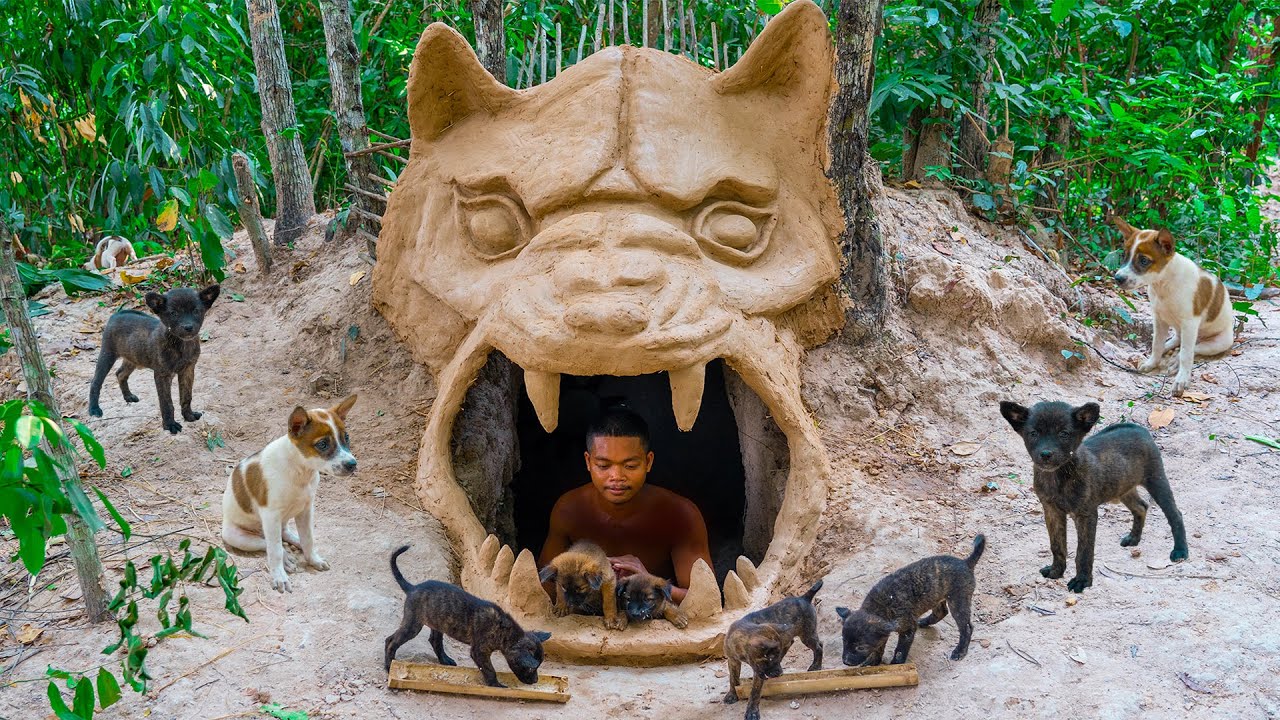 Newborn Puppies RESCUED from Danger and Get the Ultimate Underground Heaven!