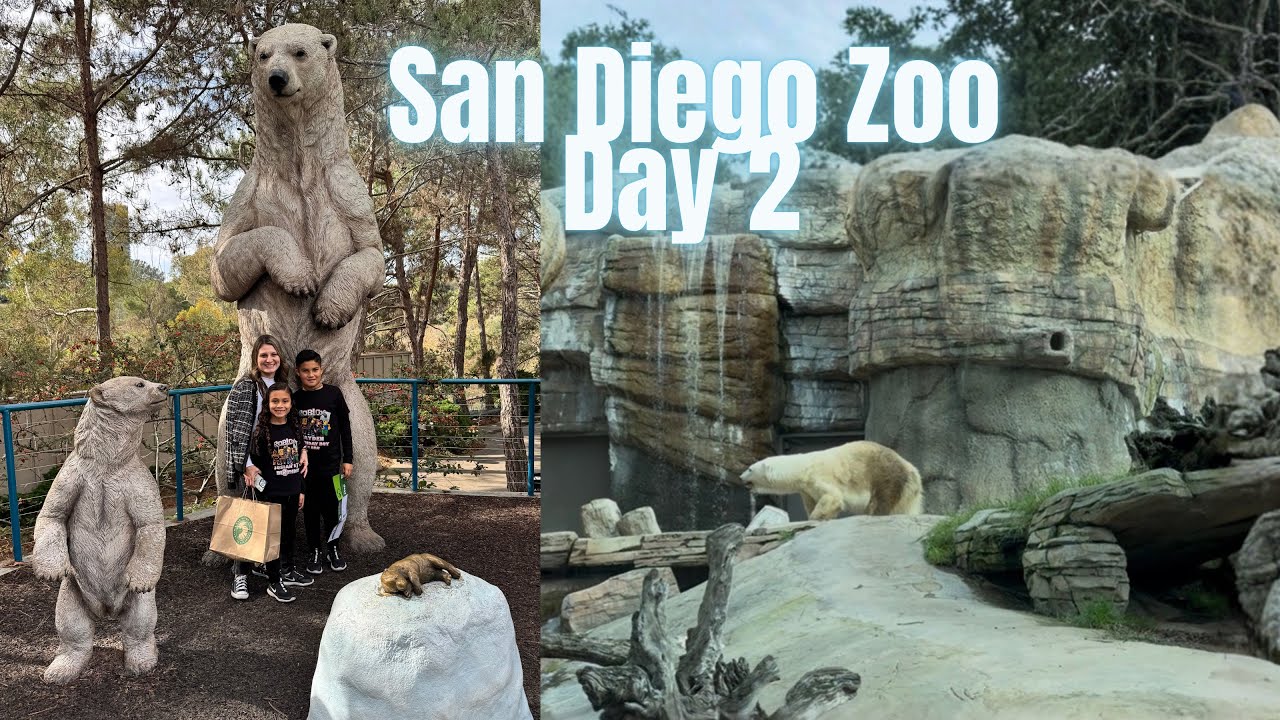 San Diego Zoo With Kids - California Travel With Kids - Day 2 🐻‍❄️🐻🐘🦁