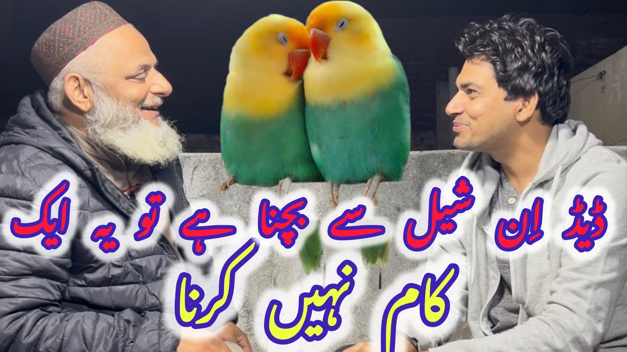 Dead in shell say bachna hai tu ye 1 kam nahi krna