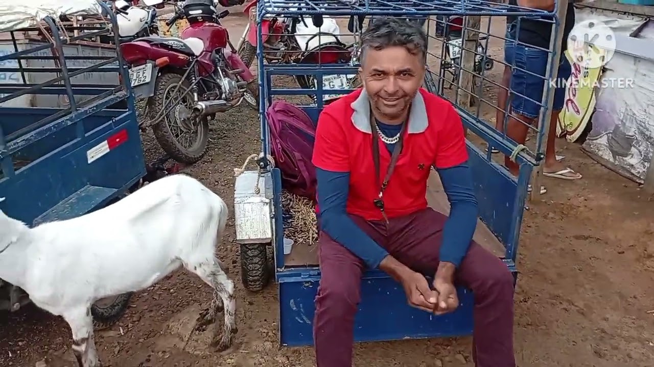 Feira de caprinos e Ovinos de Tabira PE 18/02/2026