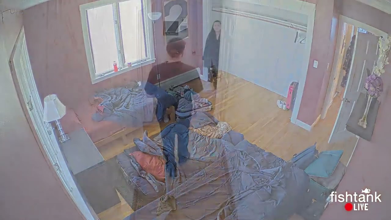 Checkin for devices feat Luca (Fishtank Season 3 Clip)