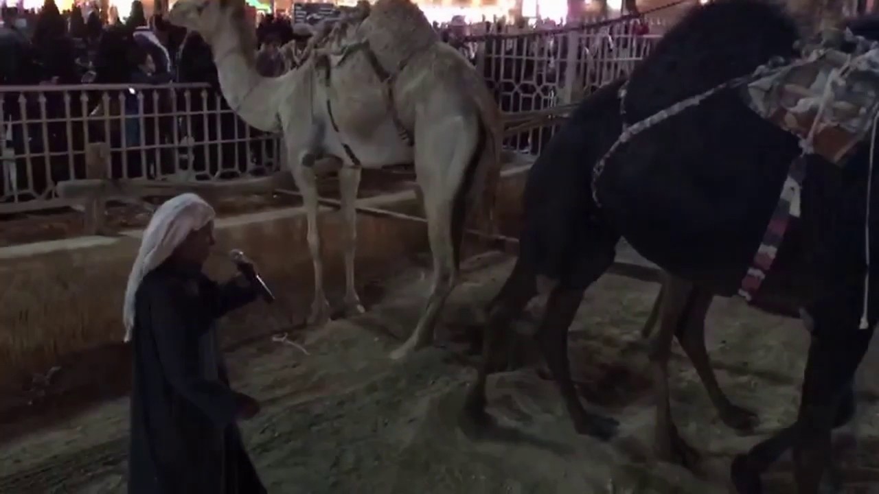 عيد اليحيى : موسيقى سواني نجد الشجيّ - الجنادرية