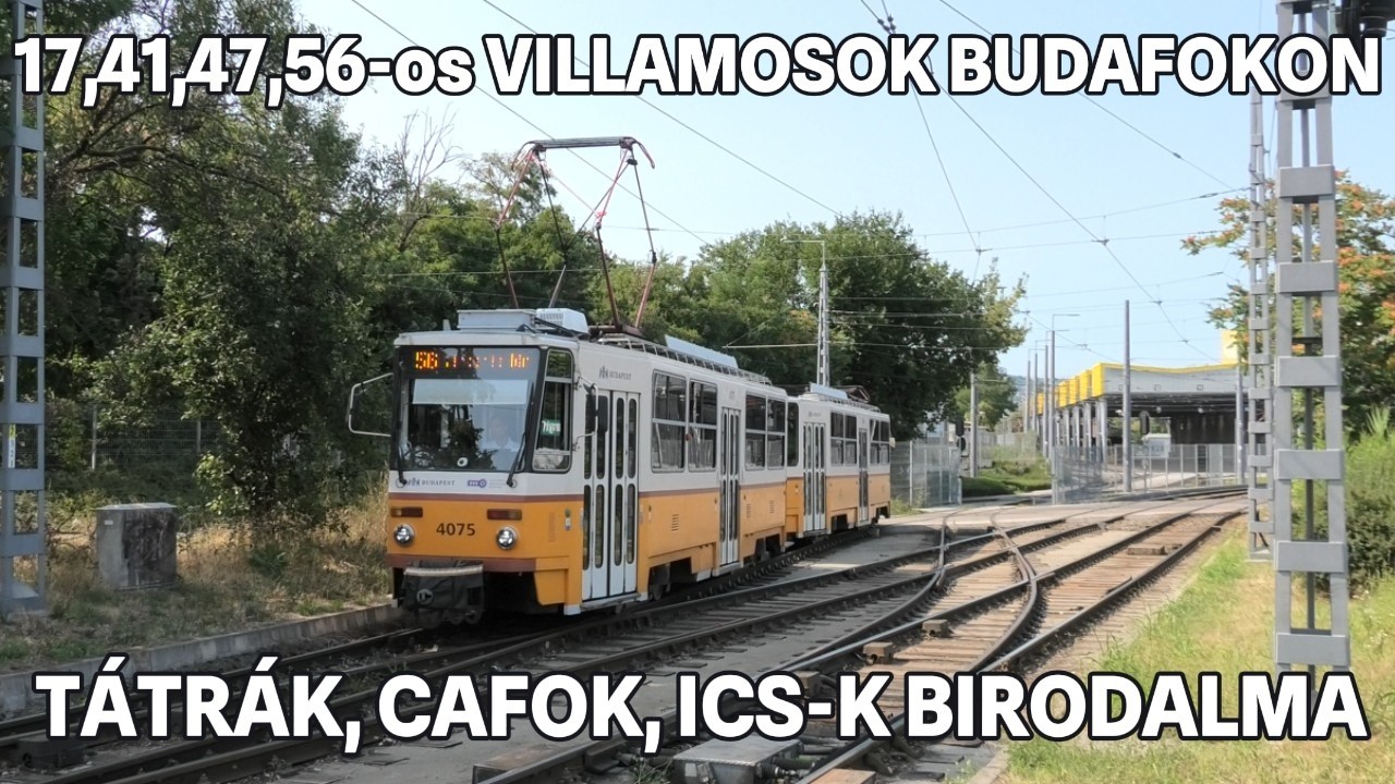 2025.08.06. Villamosfilmezés: Budafokon. Kocsiszíni mozgások , TÁTRÁK, CAFOK, ICS-K BIRODALMA!