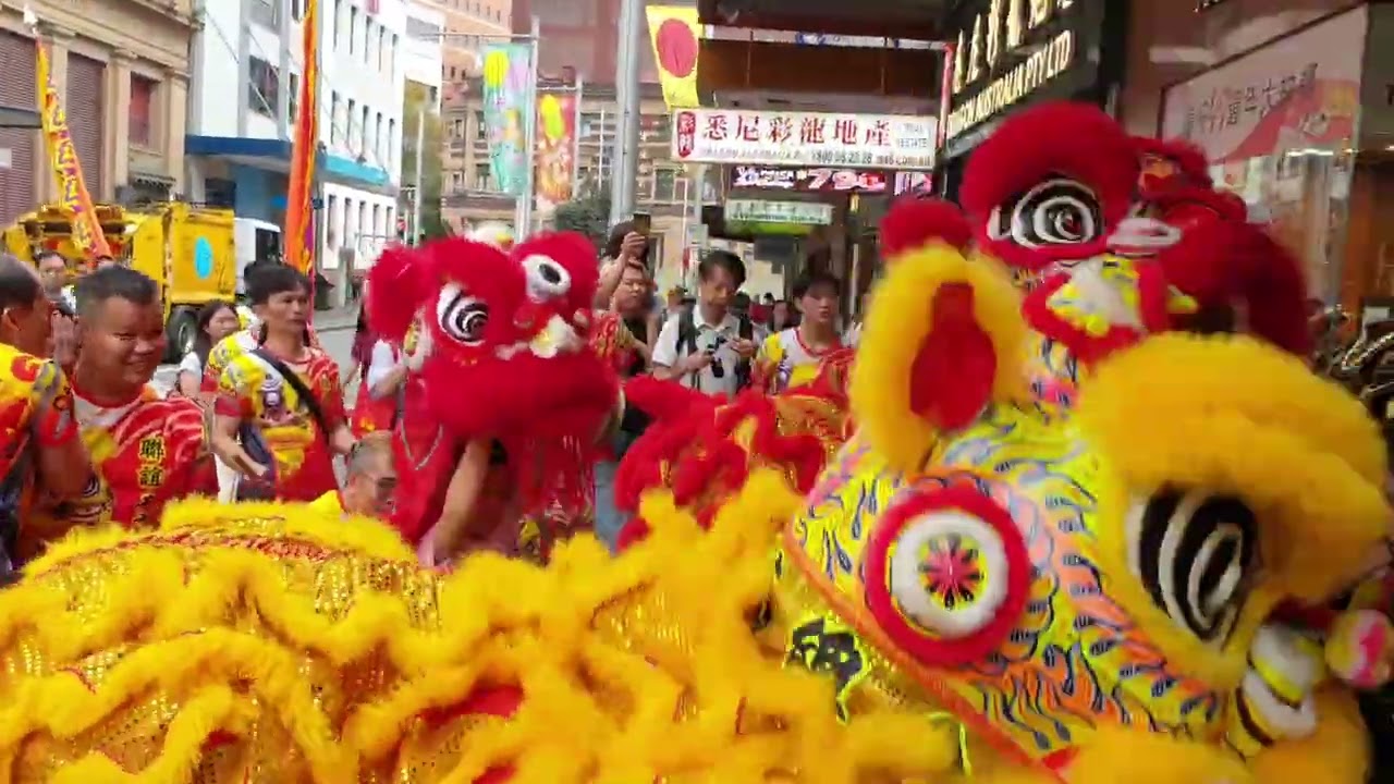 20260223 新年醒獅賀歲 25