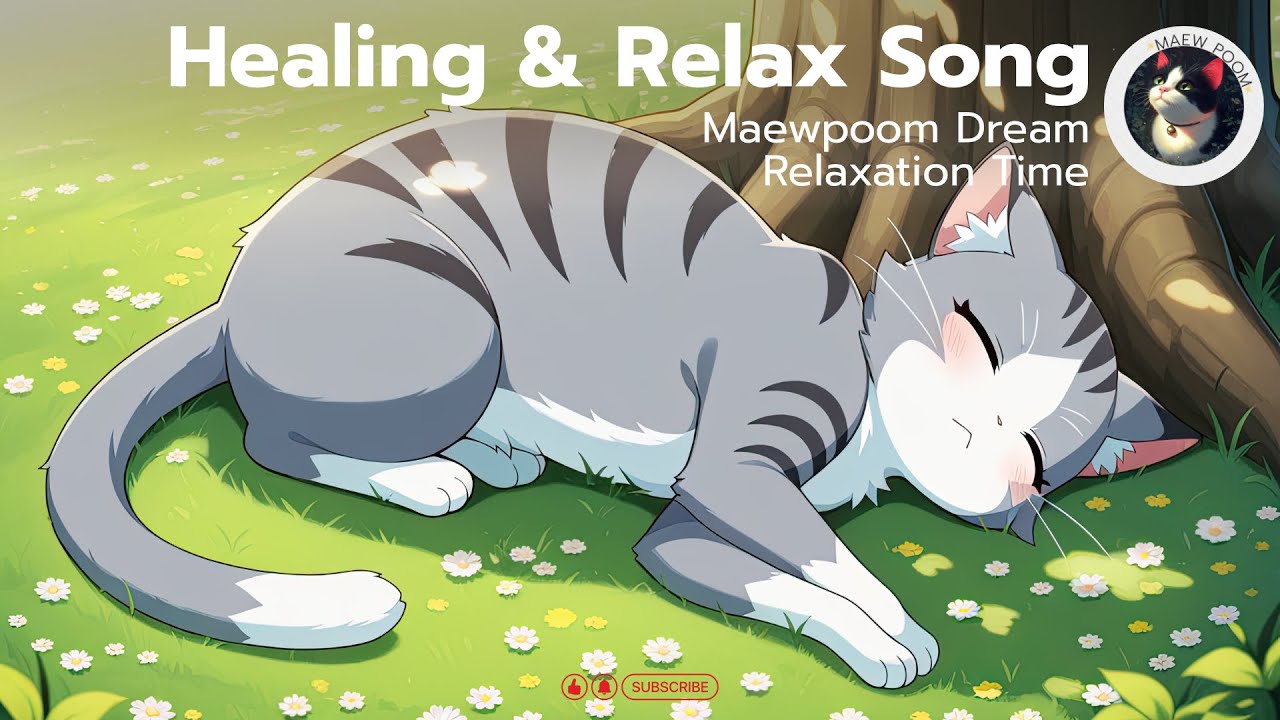 Acoustic Healing Music | 1 Hour Relax Song & Music